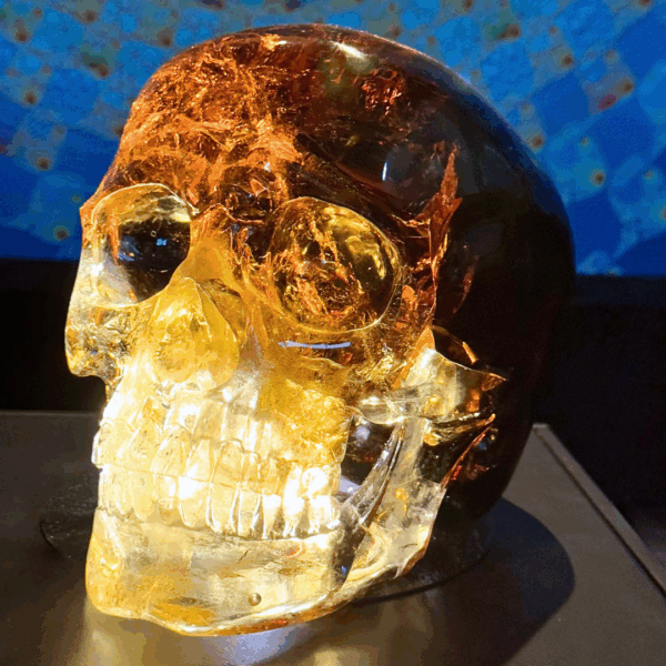 Activated Madiera Citrine Skull - Image 12