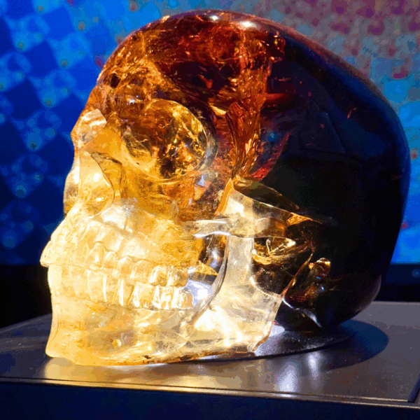 Activated Madiera Citrine Skull - Image 13