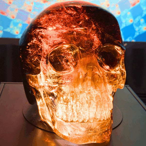 Activated Madiera Citrine Skull - Image 4