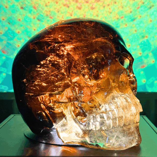 Activated Madiera Citrine Skull - Image 6