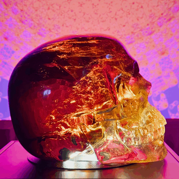 Activated Madiera Citrine Skull - Image 8